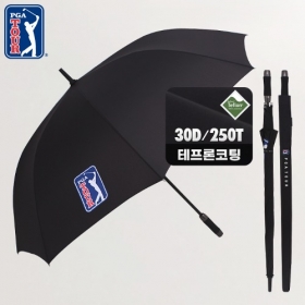 PGA80자동 30데니아 골프