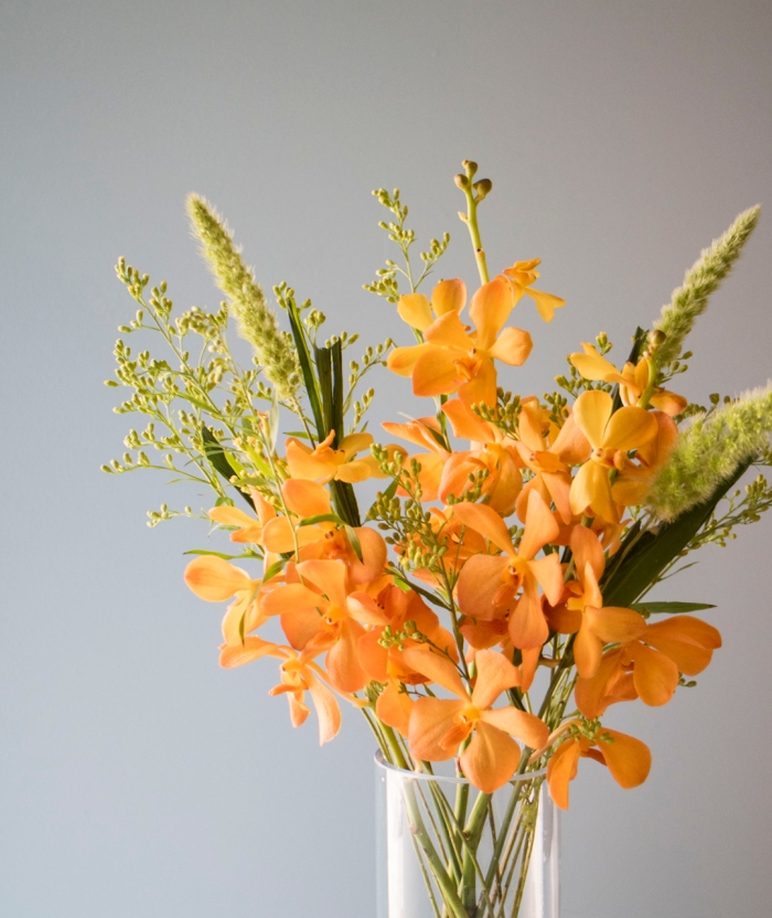 시즌 믹스 플라워_여름 chap.5모카라 (서양난)