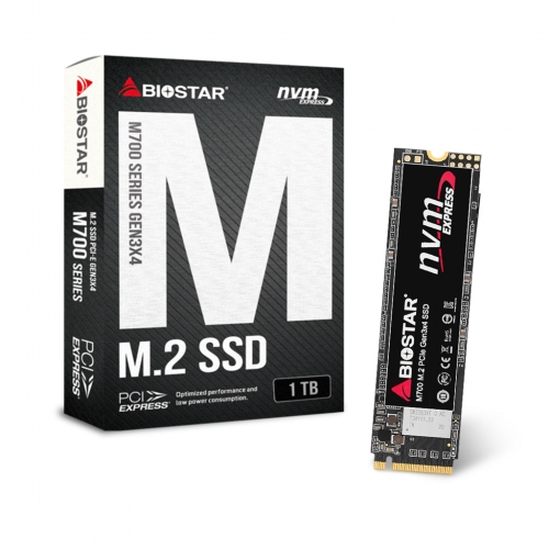 BIOSTAR M700 (1TB)