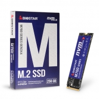 BIOSTAR M760 M.2 NVMe (256GB)