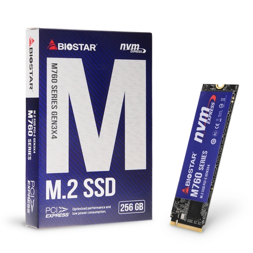 BIOSTAR M760 (256GB)