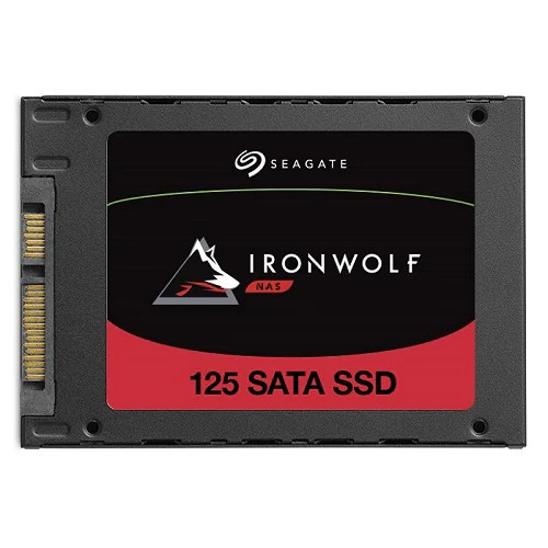 Seagate 아이언울프 125 SSD (250GB)