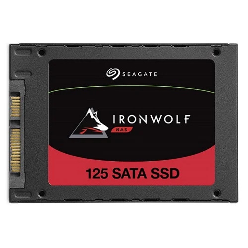 Seagate 아이언울프 125 SSD (500GB)