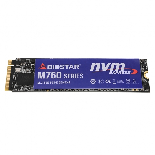 BIOSTAR M760 M.2 NVMe (512GB)