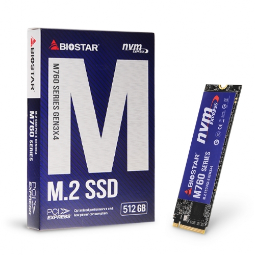 BIOSTAR M760 M.2 NVMe (512GB)