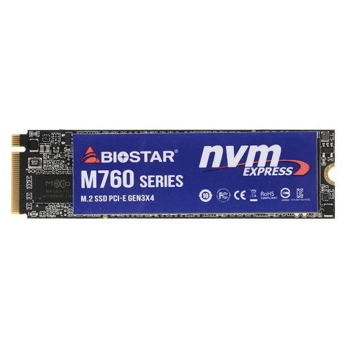 BIOSTAR M760 M.2 NVMe (512GB)