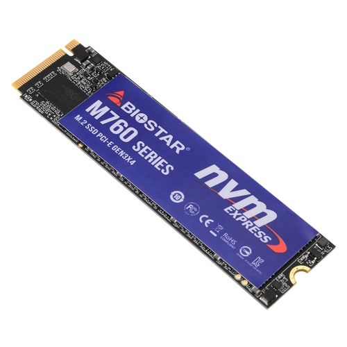 BIOSTAR M760 M.2 NVMe (512GB)