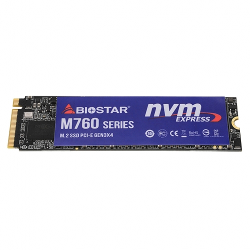 [리퍼비시 AS 12개월 / 완박스(새상품)] BIOSTAR M760 M.2 NVMe (256GB) (RM0174-1)