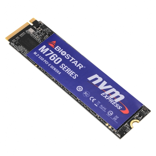 [리퍼비시 AS 12개월 / 완박스(새상품)] BIOSTAR M760 M.2 NVMe (256GB) (RM0174-1)