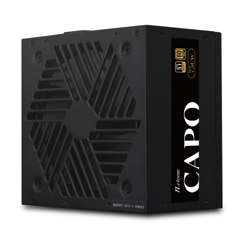 엔클롬 CAPO 750W 80PLUS골드 풀모듈러 ATX3.1 파워서플라이 (블랙)