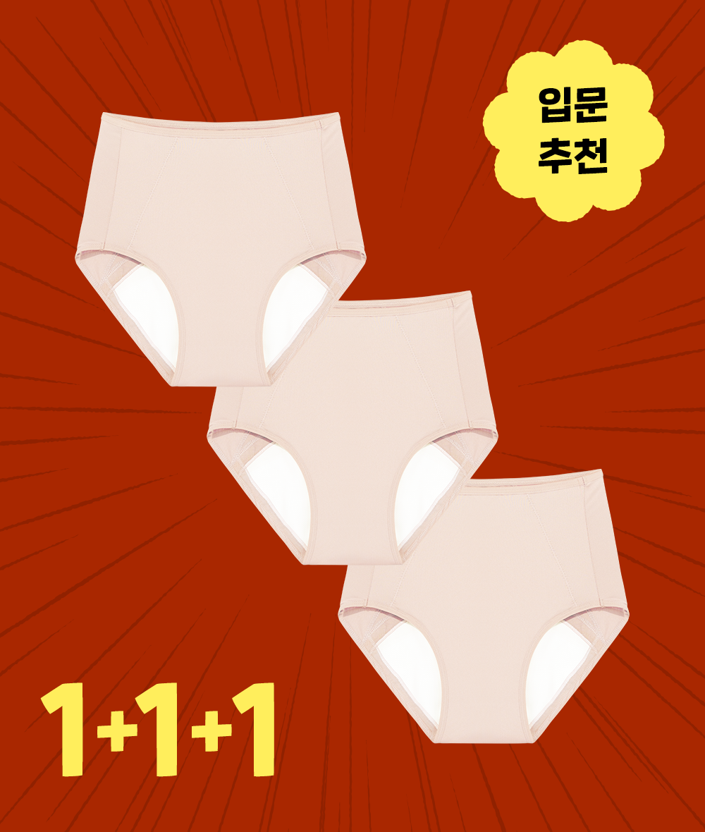 [새해특가] 오버나이트 생리팬티 3장 SET