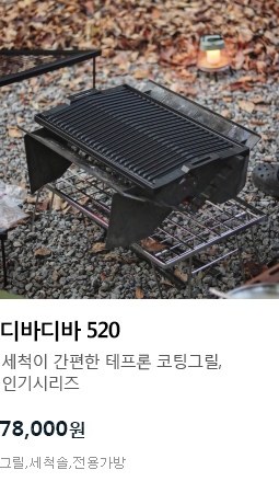 디바디바 520