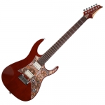Dexter D-950 DB 일렉트릭 기타