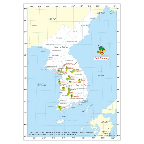 [상권/지점관리] 한국 인삼 대한민국지도 - 나우맵 맞춤 지도제작 문의