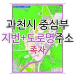 과천시지도 중심부 (지번, 도로명주소 병행표기) 족자