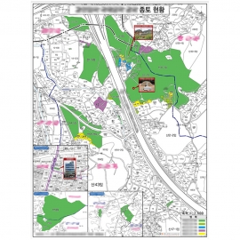 [부동산] 종토 소유필지 지적 현황도 - 나우맵 맞춤 지도제작 문의