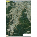 [항공사진] 하남 교산지구 항공사진 지적도 - 나우맵 맞춤 지도제작 문의