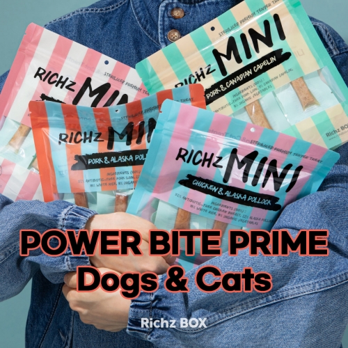 리치즈박스 리치즈 NEW미니 치빙어/포빙어/치명태/포명태