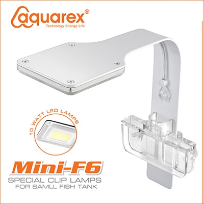 AQUAREX F6 LED썬웨이브[화이트]