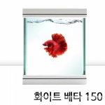 화이트베타 150 +백스크린 부착서비스