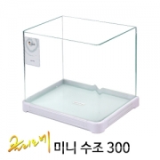 클리오네 미니 300