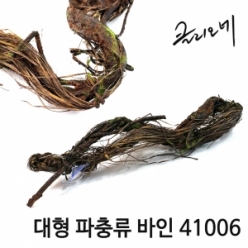 대형 파충류 바인 41006