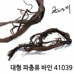 대형 파충류 바인 41039