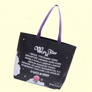 [THE WINNING] TWEETY x IU REUSABLE BAG