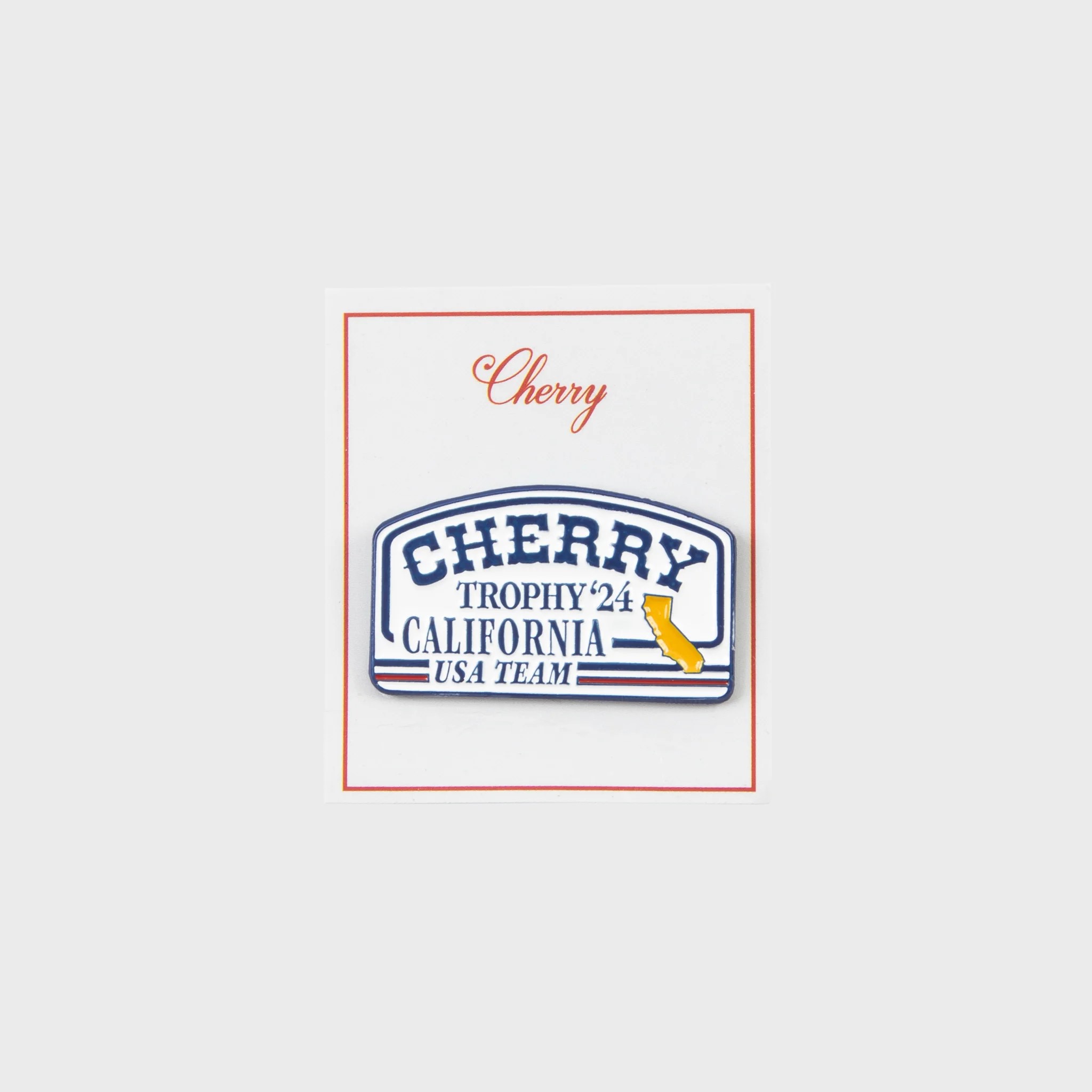 [CHERRY LA] TEAM USA PIN_MULTI
