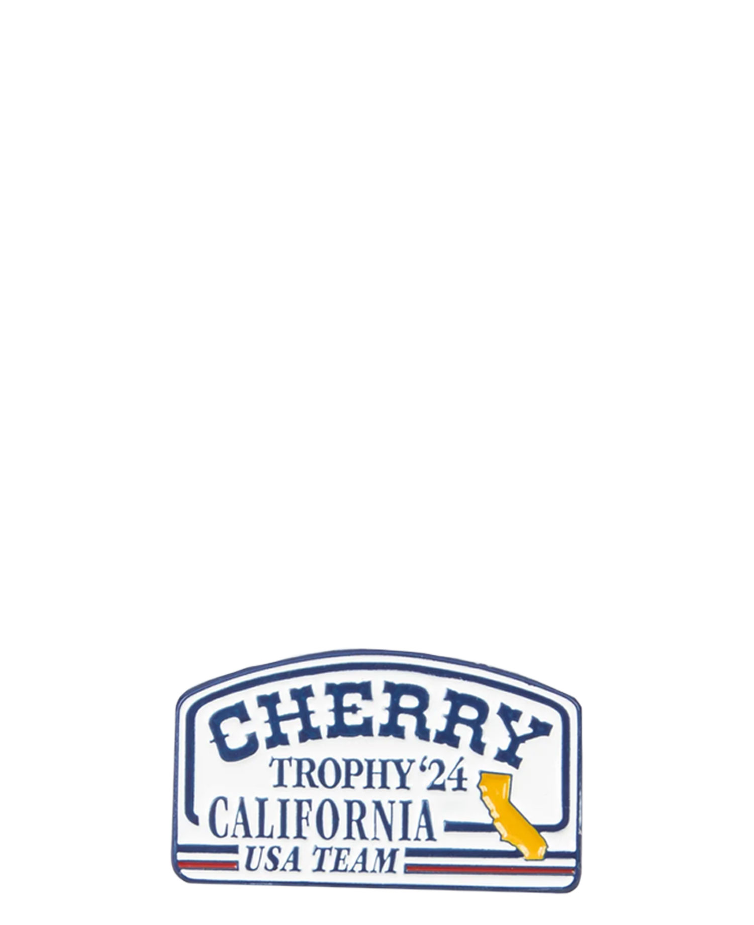 [CHERRY LA] TEAM USA PIN_MULTI