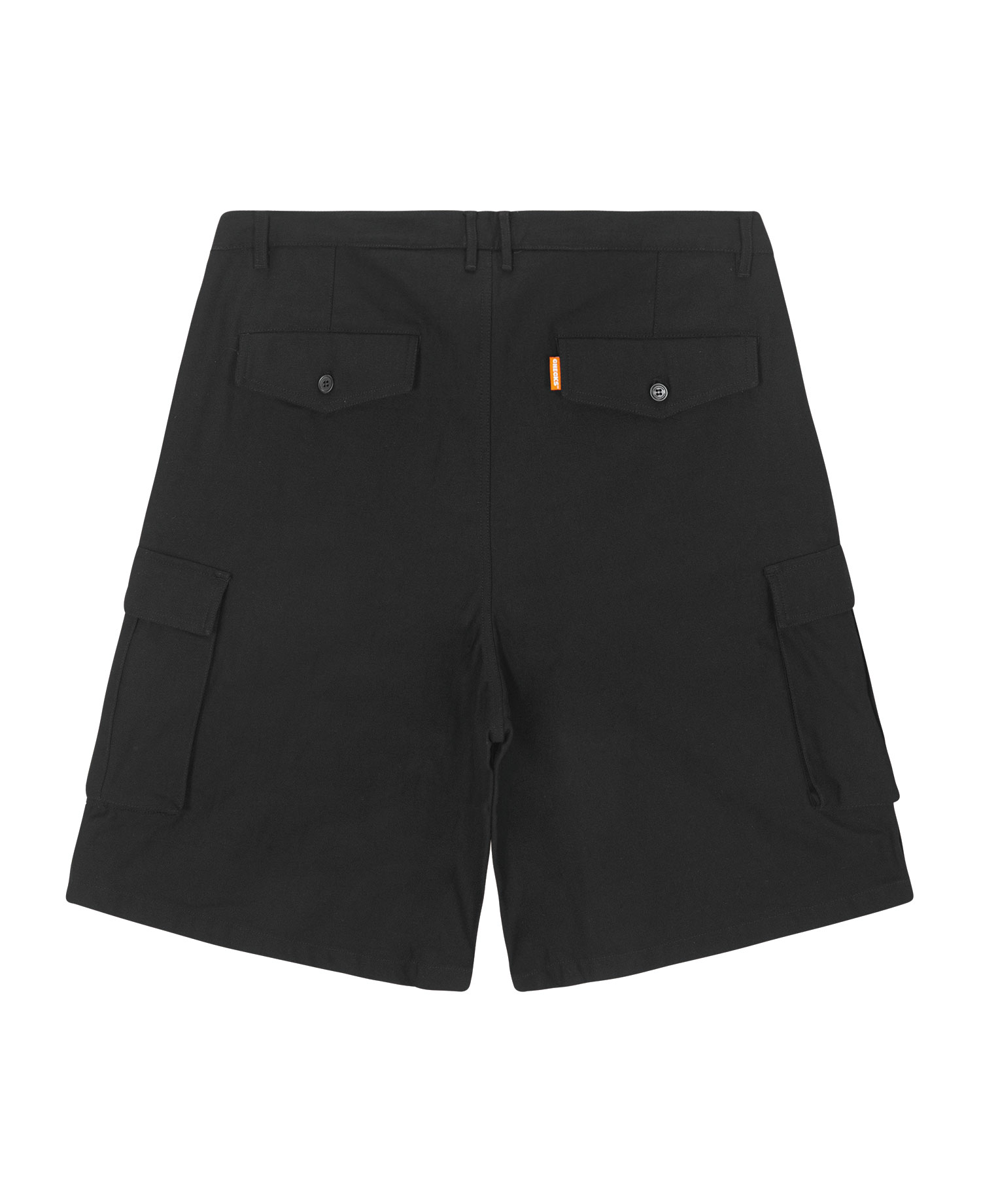 SWELL CARGO SHORTS_BLACK