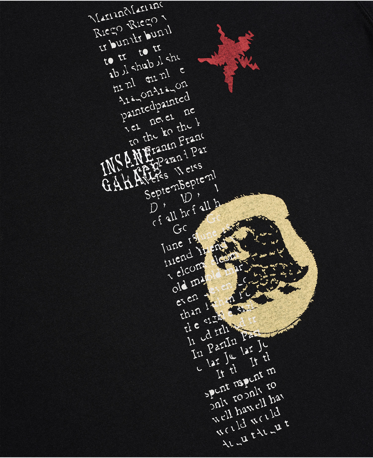 INSANE SNAKE GRAPHIC LONG SLV_WASHED BLACK