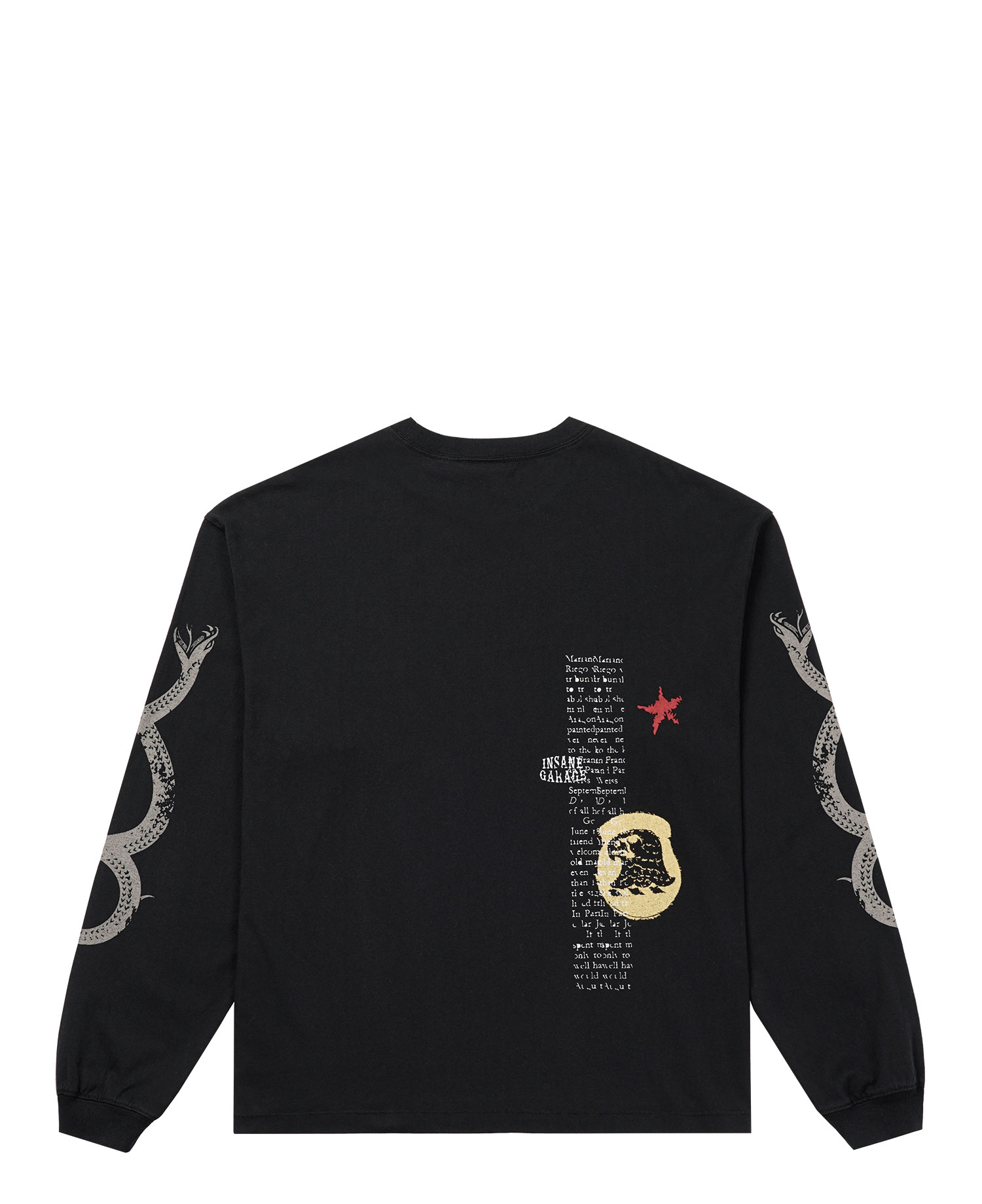 INSANE SNAKE GRAPHIC LONG SLV_WASHED BLACK