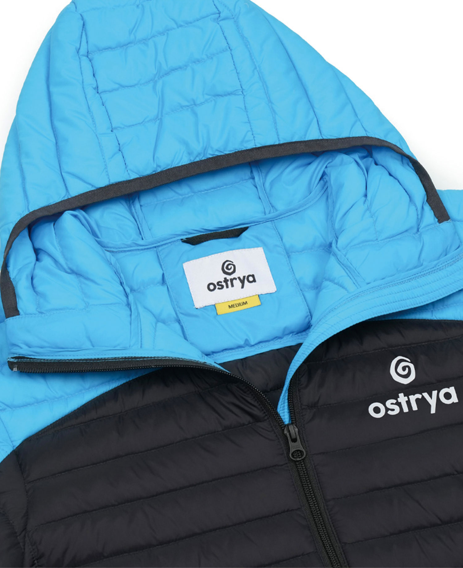[OSTRYA] SAPWOOD DOWN JACKET_OSTRYA BLUE