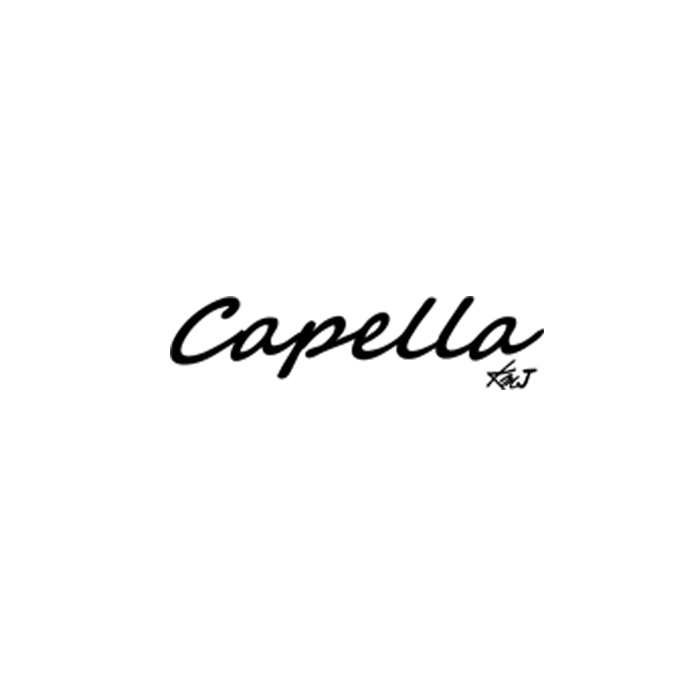 카펠라 Capella Inner Spring Barrel 드라이버 헤드 [DR]