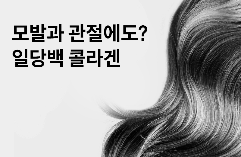 논읽약_썸네일-28.jpg^|^논읽약_75_모발관절콜라겐_660X405.jpg^|^카카오공유하기_논읽약_59_콜라겐.jpg