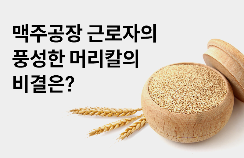 논읽약_썸네일-13.jpg^|^논읽약_64_맥주효모_660X405.jpg^|^카카오공유하기_논읽약_44_맥주효모.jpg