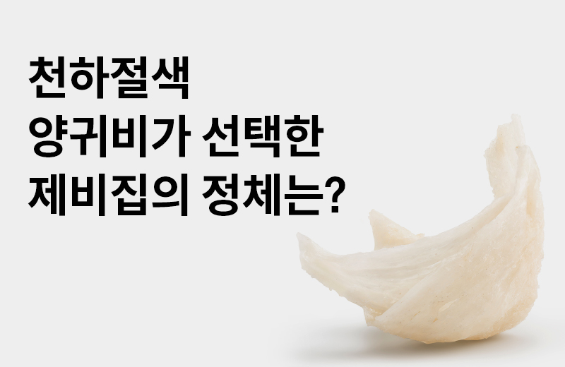 논읽약_썸네일-6.jpg^|^논읽약_제비집뷰티_660X405.jpg^|^카카오공유하기_논읽약_37_제비집.jpg