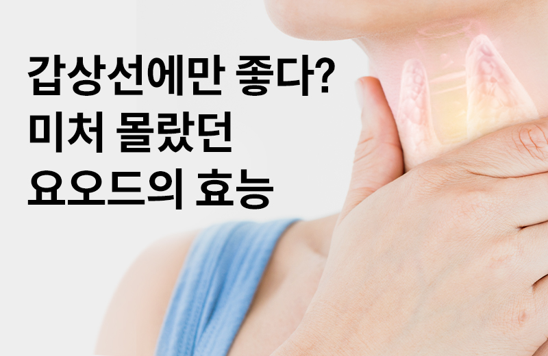 논읽약_썸네일-4.jpg^|^논읽약_갑상선에만좋다_660X405.jpg^|^카카오공유하기_논읽약_35_요오드.jpg