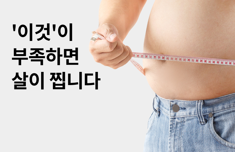 논읽약_썸네일-47.jpg^|^이것이부족하면살이찝니다_660X405.jpg^|^카카오공유하기_논읽약_78_카르니틴.jpg