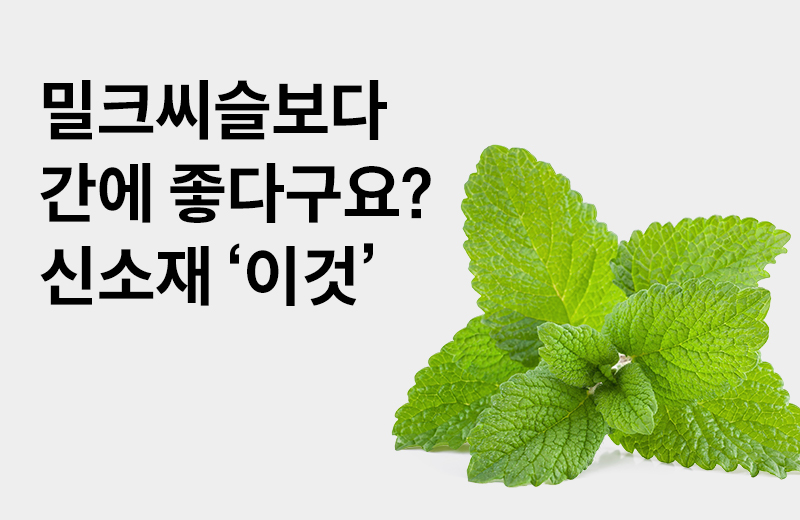 논읽약_레몬밤LD100(1028606).jpg^|^논읽약_레몬밤LD100(1028606)_660x405.jpg^|^논읽약_레몬밤LD100(1028606)_카카오공유.jpg