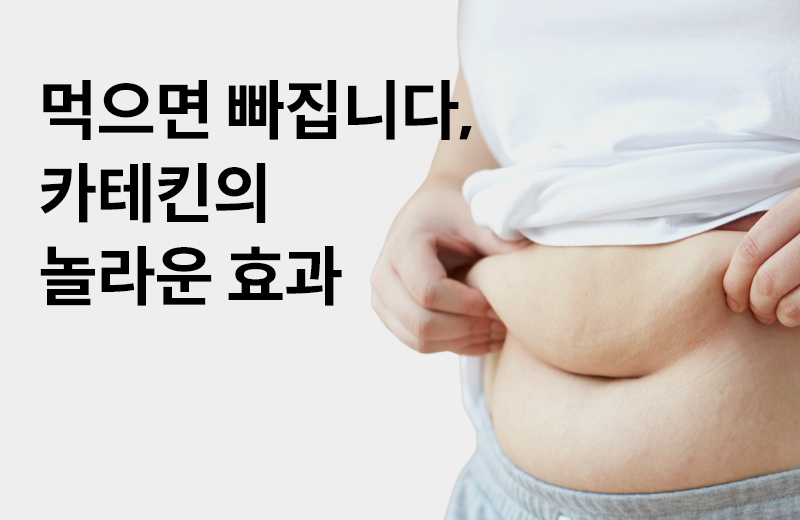 논읽약_카테킨(1051406).jpg^|^논읽약_카테킨(1051406)_660x405.jpg^|^논읽약_카테킨(1051406)_카카오공유.jpg