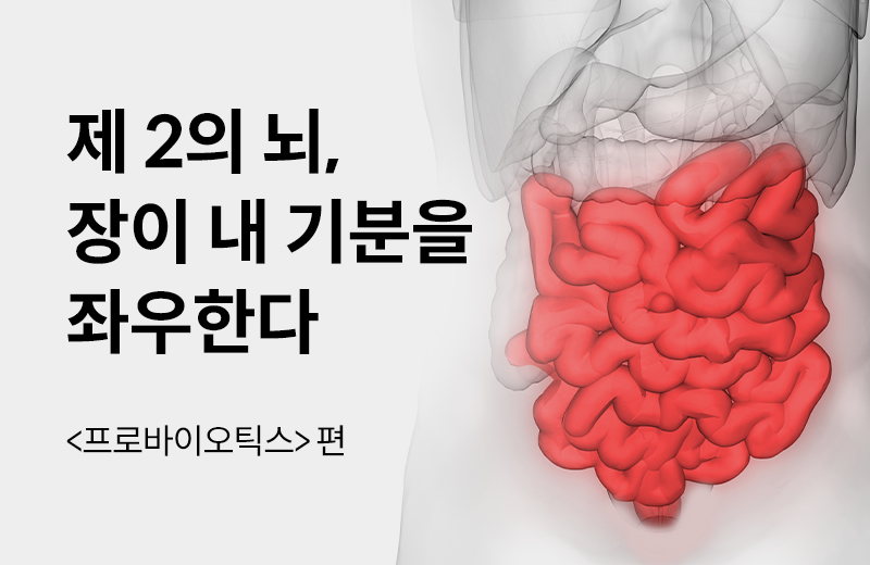 에스더에세이(기타)_10.jpg^|^에세이_프로바이오틱스2화(1000285)_660x405.jpg^|^에세이_프로바이오틱스2화(1000285)_카카오공유.jpg