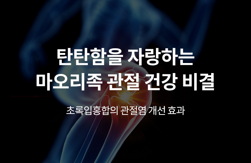 다음글