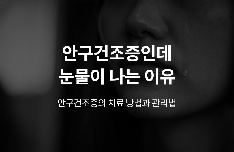 이전글