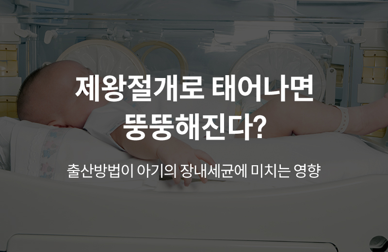 이전글