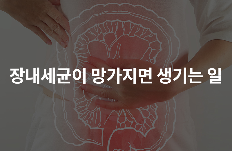 이전글