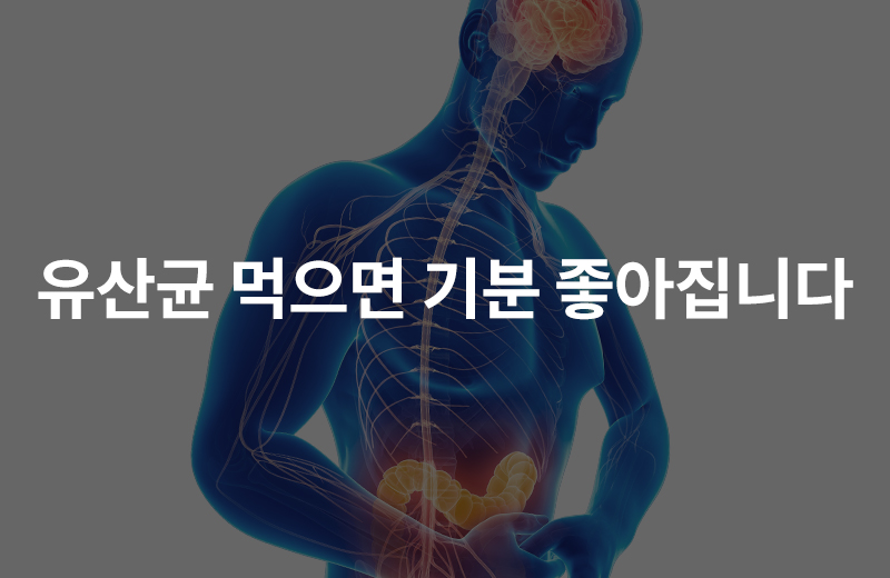 알쓸_유산균(1053889).jpg^|^알쓸_유산균(1053889)_660x405.jpg^|^알쓸_유산균(1053889)_카카오공유.jpg