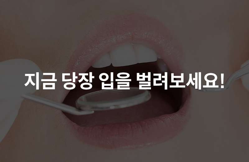 알쓸_치과(1056940).jpg^|^알쓸_치과(1056940)_660x40.jpg^|^알쓸_치과(1056940)_카카오공유.jpg