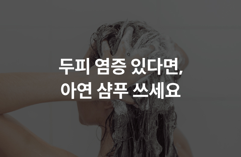 이전글